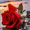 Alex Adriano - @alex.adriano248 - TikTok