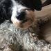 Alex Agnew - Facebook