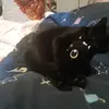 Alex Albertini - @avr.albertini - TikTok