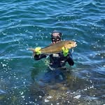 Alex allison - @alexallison36 - Instagram