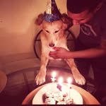Alex Almonte - @milo_and_alex_ - Instagram