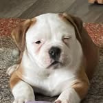Alex Arbuckle - @woodsalexander2007 - Instagram