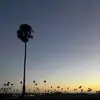 alexau_15 - @alexau_15 - TikTok