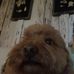 Alex Auguste - Facebook