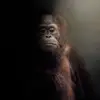 alex - @alex.avina - TikTok