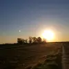 alexbaez697 - @alexbaez_ - TikTok