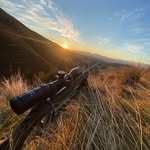 Alex Royce-Bainbridge - @alex_royce_bainbridge_ - Instagram