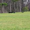 Alex Baltazar - @alex.baltazar710 - TikTok
