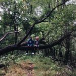 Alex Baratta - @alexbaratta - Instagram