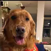 Esty - @alex.barkov4 - TikTok