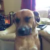 Alex Barry - @alexisgay00 - TikTok