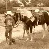 susanbaucomalexan - @susanbaucomalexan - TikTok