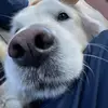 Alex Baumgartner - @awaboo3 - TikTok