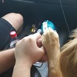 Alex Baumgartner - @alexb2010 - Instagram