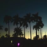 Alex Bayer - @bayers_here - Instagram