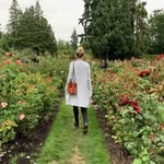@alex_bazzell_reed - Instagram