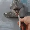 Alex Bealman - @alex.bealman - TikTok