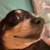Alex - @beamish.alex - TikTok