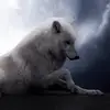 Alexander Beaudette - @alexander.beaudet - TikTok
