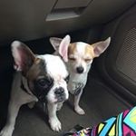 Alex Bednar - @bednaralex - Instagram