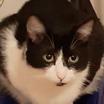 Alex Bednář - @mik.i14 - Instagram