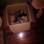 Alex Beharry - @alexbeharry - Instagram