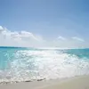 alexbelliard933 - @alexbelliard933 - TikTok