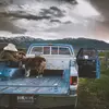 Alex Castro - @alex.benavidez62 - TikTok