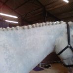 Alex Benfield Sponsored By Buryhill Competition Centre - Facebook