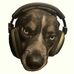 Alex Bergquist - Facebook