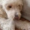 alexbernardini13 - @alexbernardini13 - TikTok
