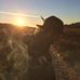 Alex Bester - Facebook