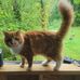 Alex Bilodeau - Facebook