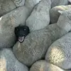 Alex_Bla - @alex.blanc0 - TikTok