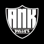 Alex Blanc - @a.n.k.bullyz - Instagram
