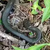 Alex_blaylock - @alex_blaylock - TikTok