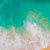 alexblocker1 - @boo.boo4926 - TikTok