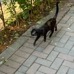 Alex - @alexbobert124578 - Instagram