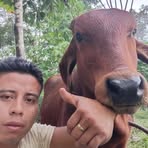 Alex Bol - Facebook