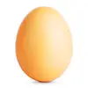 AlexBol - @_bol._ - TikTok