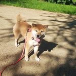 Alex Bono - @aleksey_bono - Instagram
