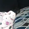 Alexis Bowden - @alexis.bowden - TikTok