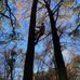 Alex Trevor Bowyer - Facebook