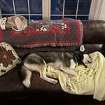 Alex Brainard - @alex.brainard.1 - Instagram