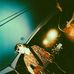 Alex Brannon - Facebook