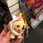 Alex Brannon - @thisisnot_mydog - Instagram