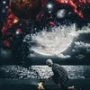 alexanderbrannon8 - @alexanderbrannon8 - TikTok