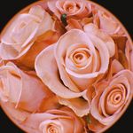 Alex Brawley - @alex_brawley_primary - Instagram