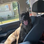 Henry Alex Brawley - @_henryhill_ - Instagram