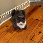 Alexander Morbeck Brinker - @ambrinker003 - Instagram
